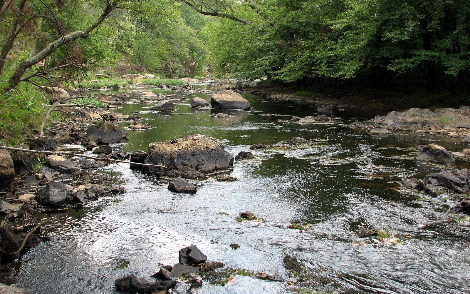 The Eno at Few's Ford, water running low over rock, a single adult walker on the bank for scale