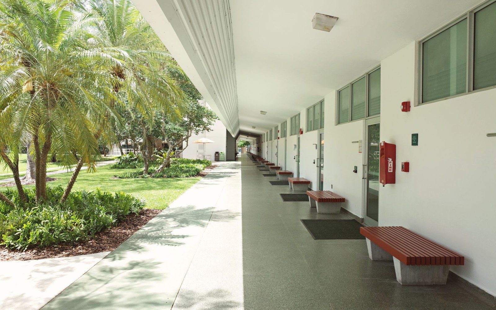 Covered walkway with red benches lining a building beside a palm-shaded lawn
